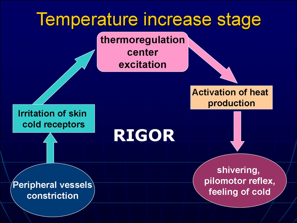 Temperature increase stage