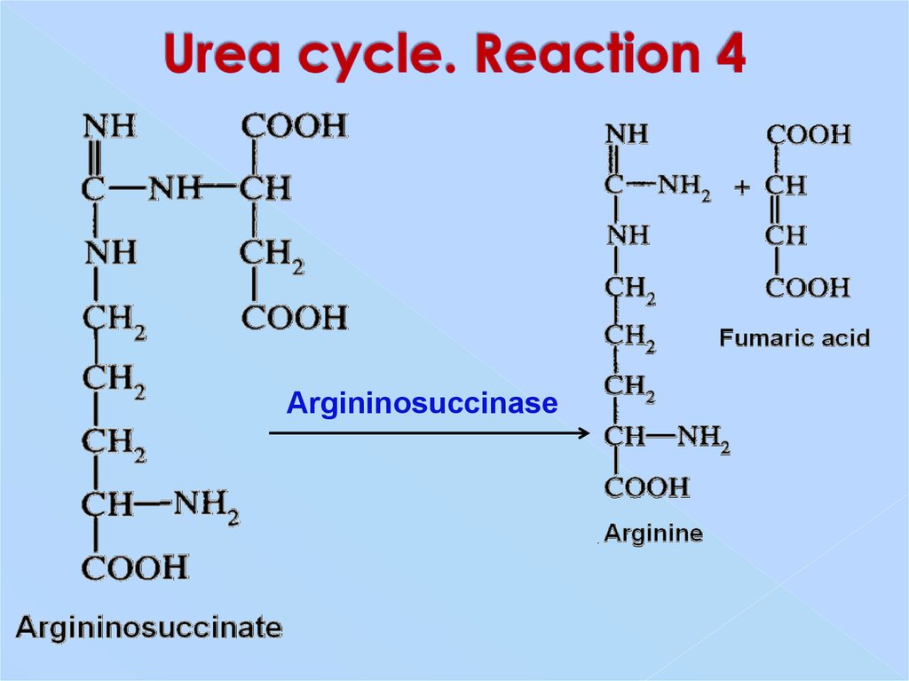 Urea перевод. Amino acids Protein. Urea Reactions. Аминокислоты фото для презентации. Amino acid 191.