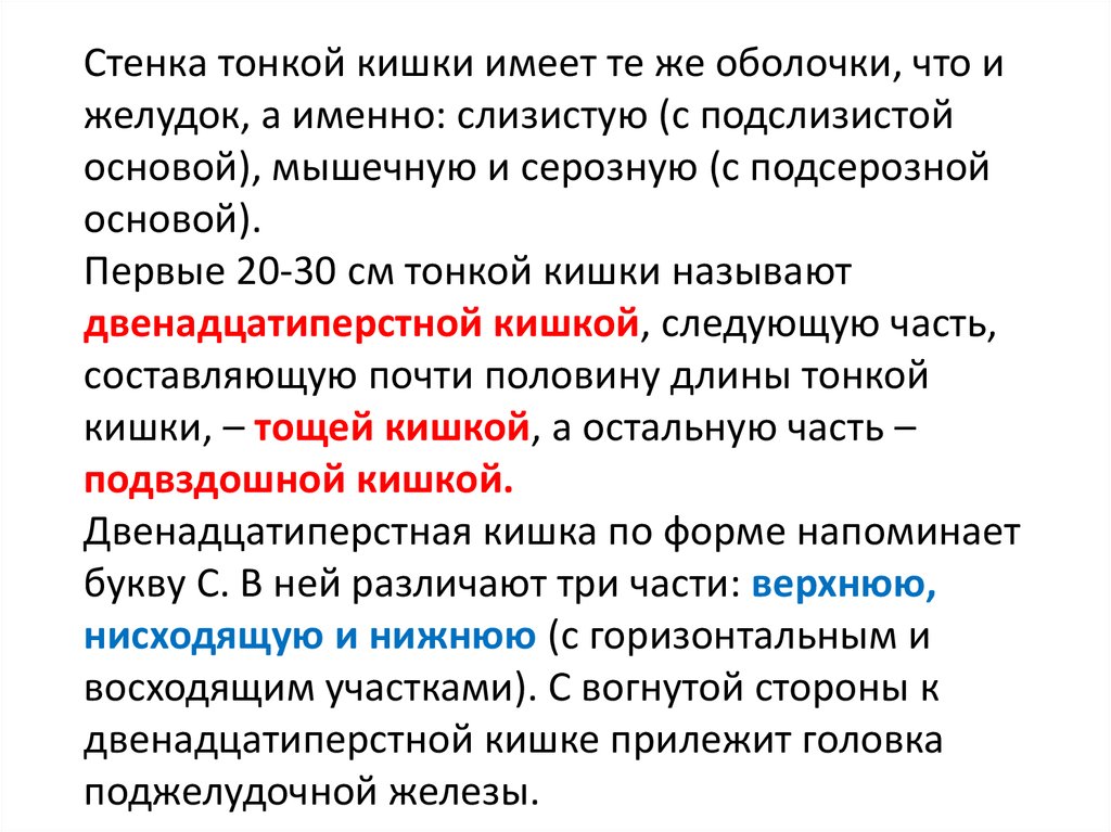 В слизистой оболочке тонкой кишки имеются. Подслизистая основа тонкой кишки. Подсерозная основа желудка. Биотоп тонкая кишка. Подсерозная основа.