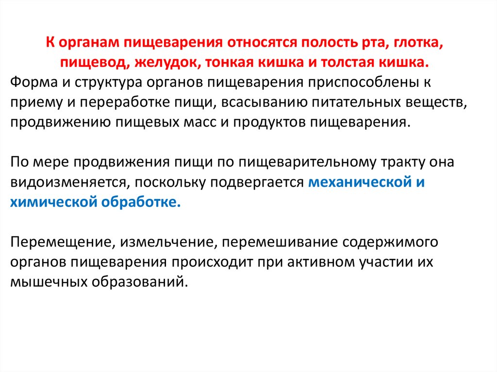 Полость относиться. Периодическая деятельность органов пищеварения. К продуктам со сниженной перевариваемостью относят.