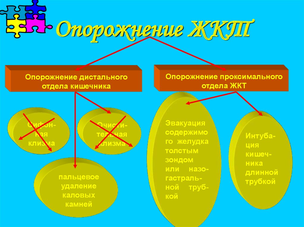 Опорожнение ЖКТ