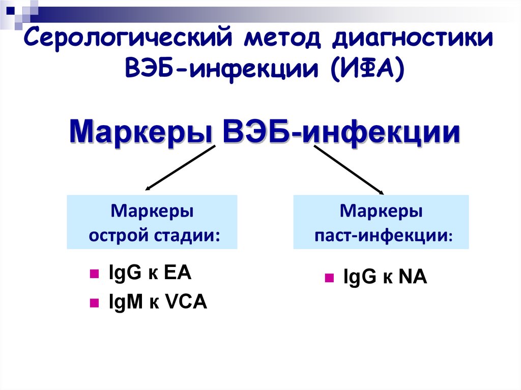 Диагностика эпштейна барра