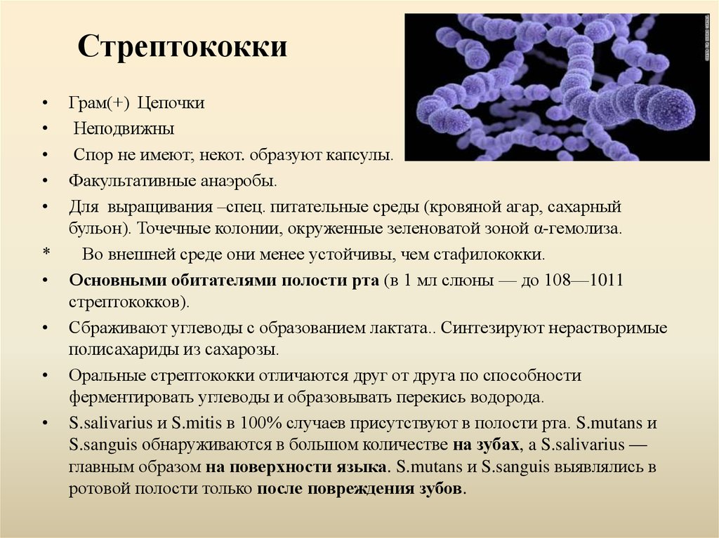Пример бактерий вызывающих болезни