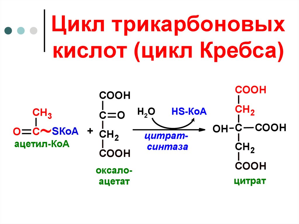 Три карбоновые кислоты