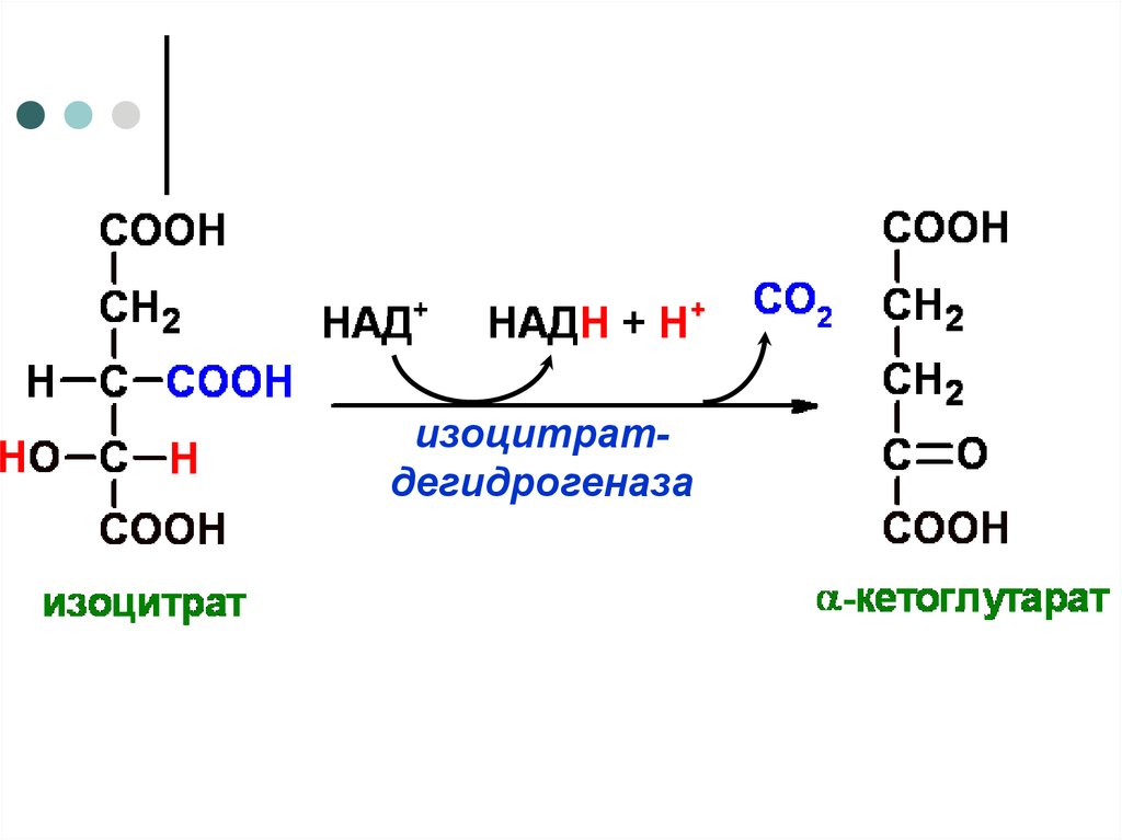 Над плюс. Превращение изоцитрата в Альфа кетоглутарат. Превращение изоцитрата в а-кетоглутарат. Изоцитрат дегидрогеназа. Декарбоксилирование изоцитрата.