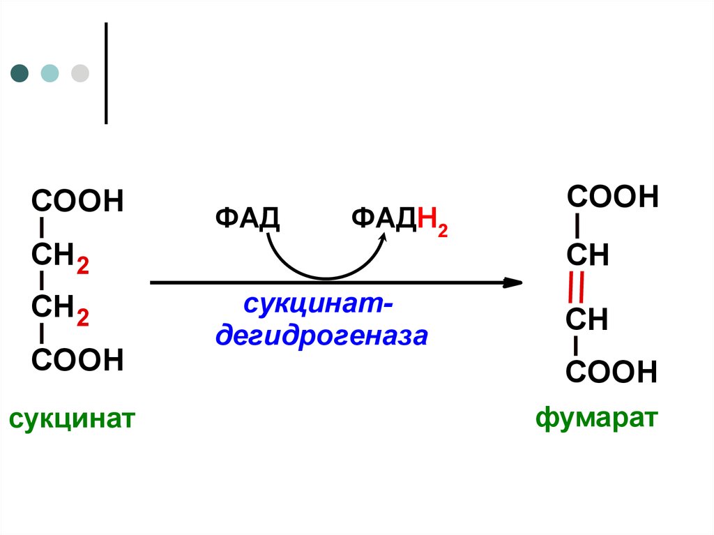 Энергетический обмен синонимы