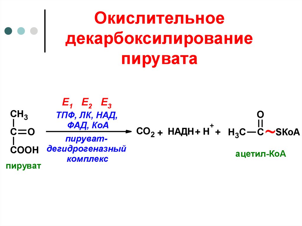 Окислительное декарбоксилирование пирувата схема