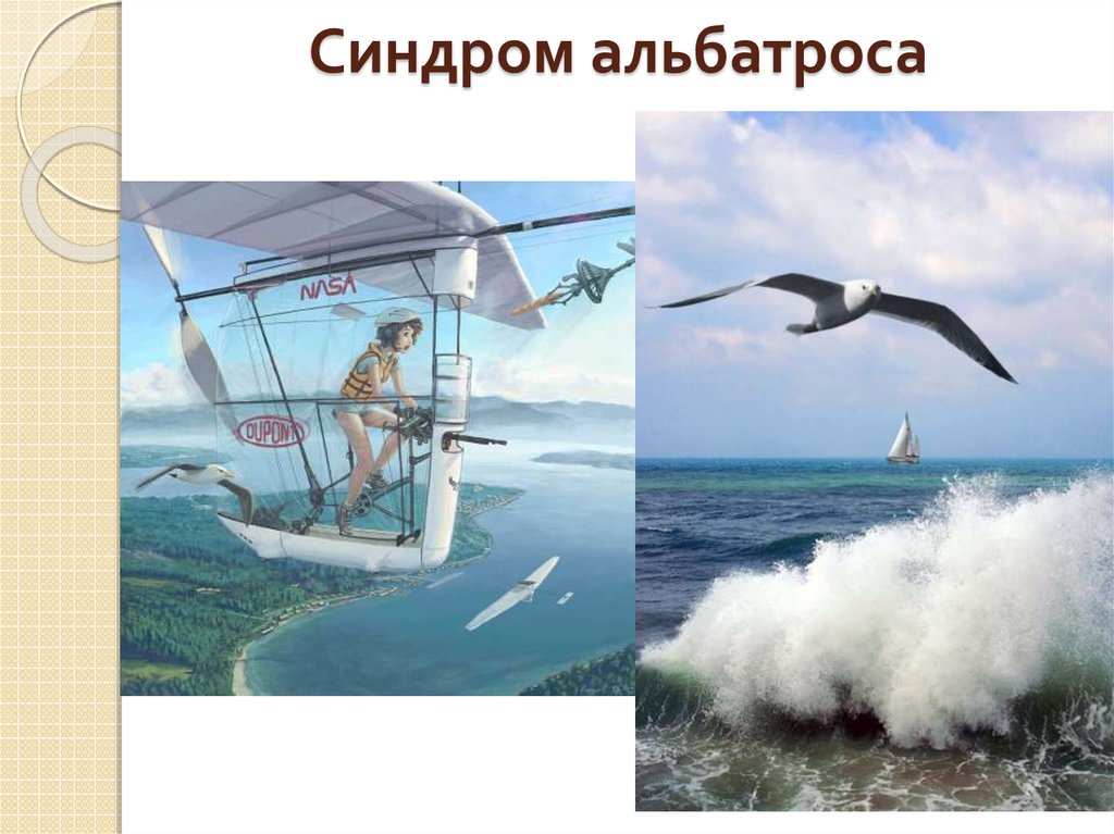 Синдром альбатроса