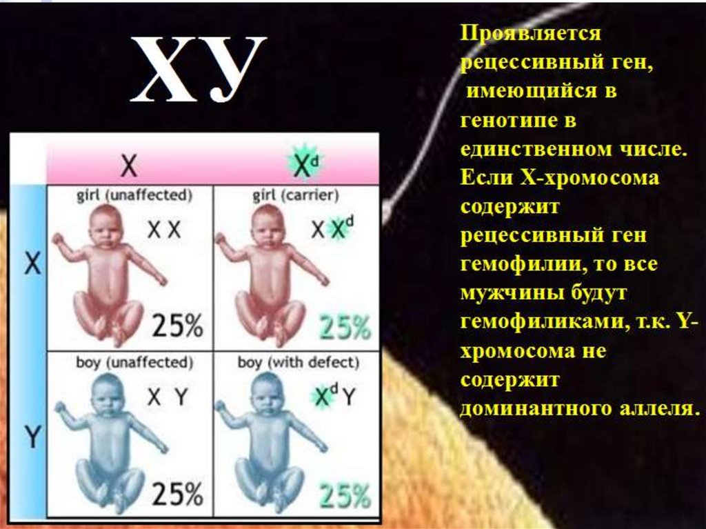 Xy хромосомы пол. Генетика рецессивный ген. Доминантные и рецессивные гены. Рецессивный генотип. Х хромосома.