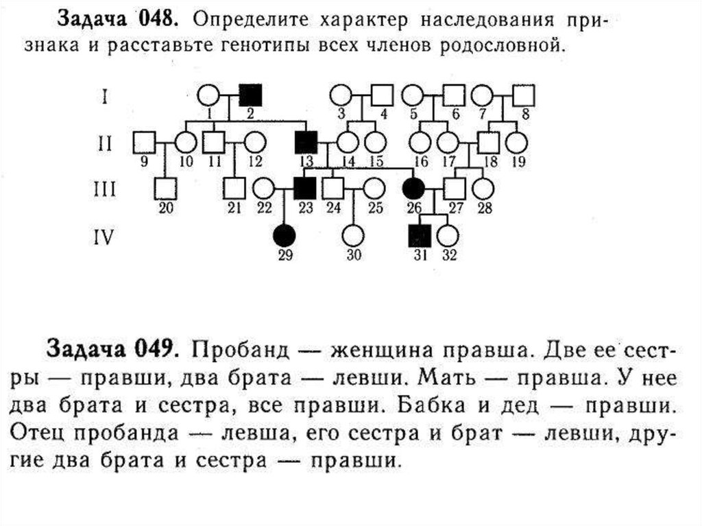 Задача 48. ПРОПАНД это в генетике. Задачи с пробандами. Родословная пробанд левши. Пробанд женщина правша ее две сестры правши два брата.