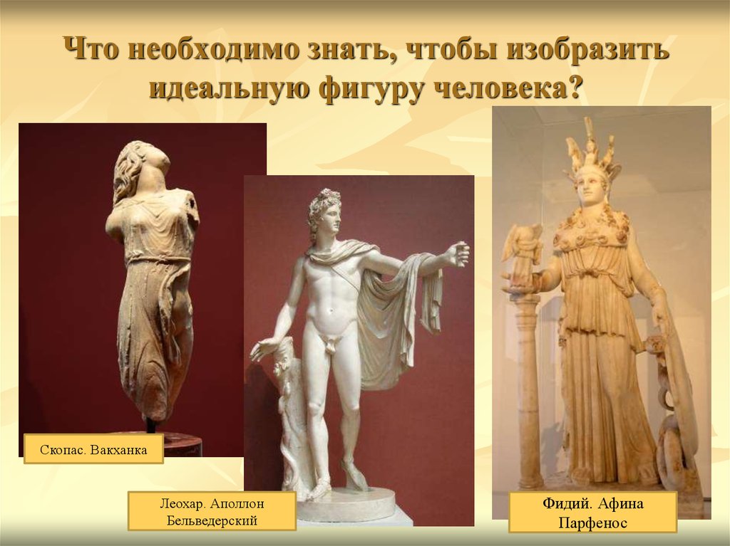 Что необходимо знать, чтобы изобразить идеальную фигуру человека?