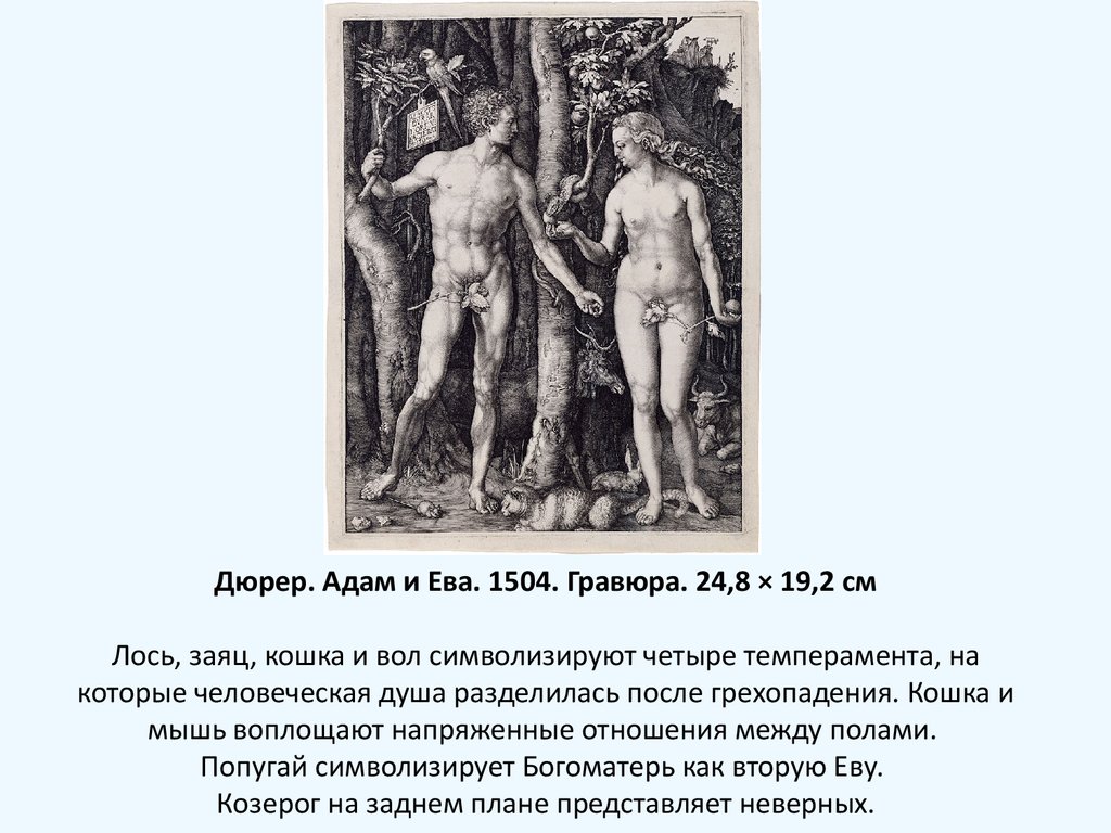 Дюрер. Адам и Ева. 1504. Гравюра. 24,8 × 19,2 см Лось, заяц, кошка и вол символизируют четыре темперамента, на которые человеческая душа разделила