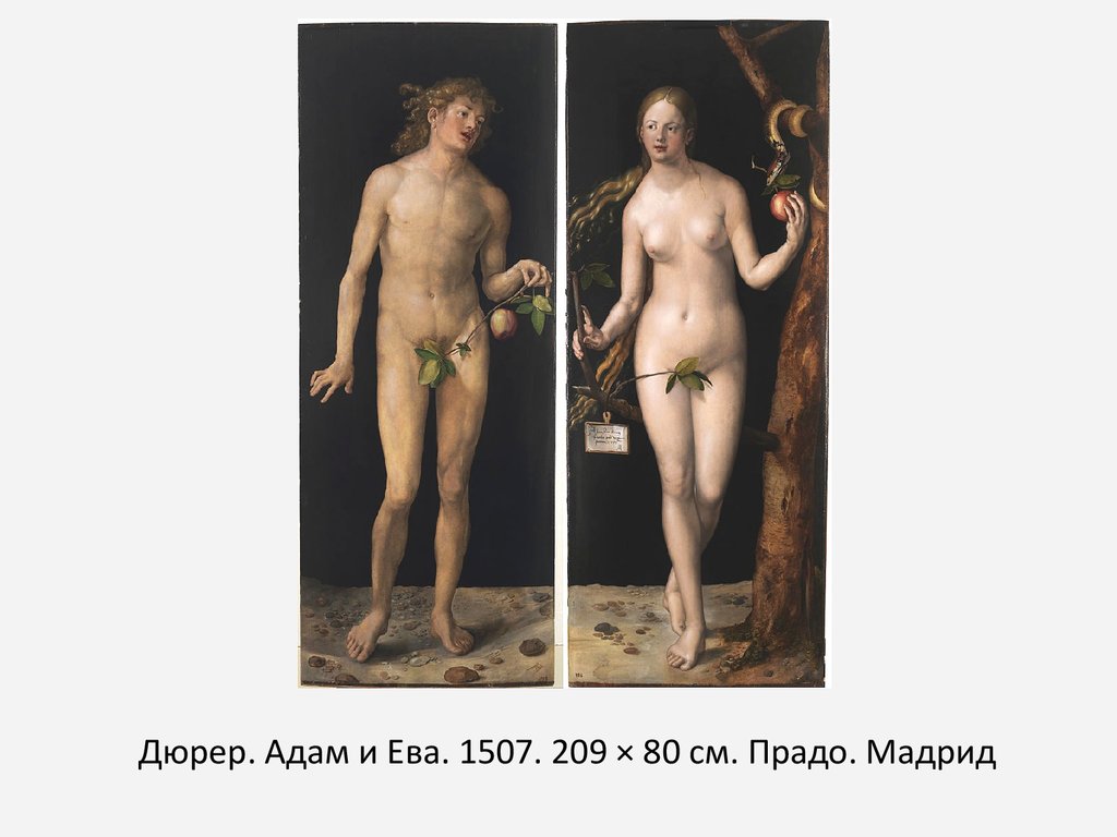 Дюрер. Адам и Ева. 1507. 209 × 80 см. Прадо. Мадрид