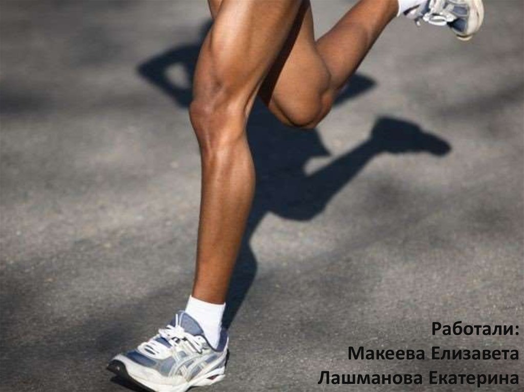 Работали: Макеева Елизавета Лашманова Екатерина