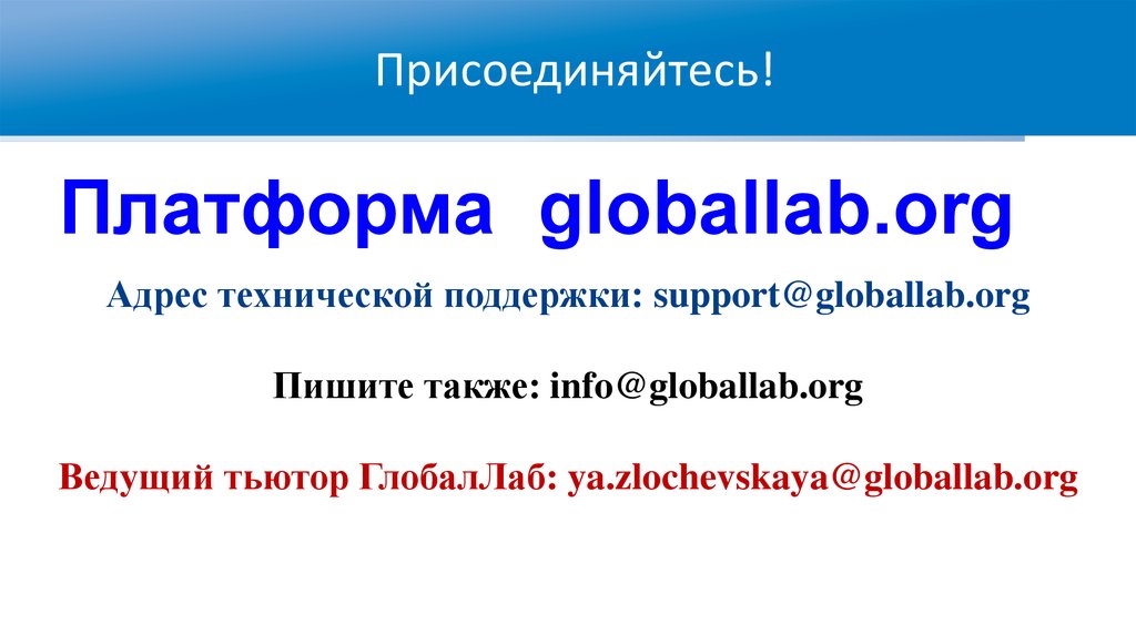 Адрес org. Платформа ГЛОБАЛЛАБ. Яна Злочевская ГЛОБАЛЛАБ. Механизм работы в ГЛОБАЛЛАБ. ГЛОБАЛЛАБ Мем.