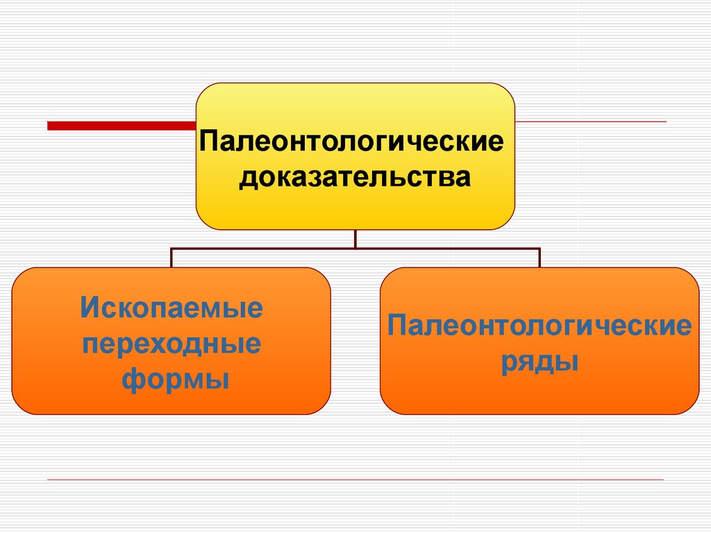 Палеонтологические и эмбриологические доказательства