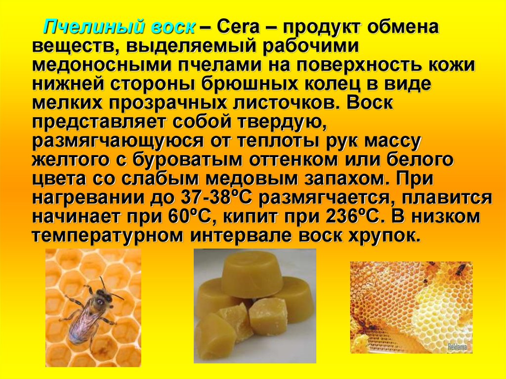 Схема продукты пчеловодства