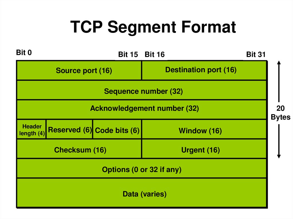 TCP Segment Format