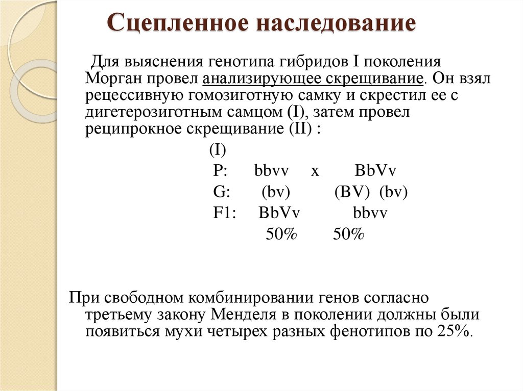 Сцепленное наследование схема