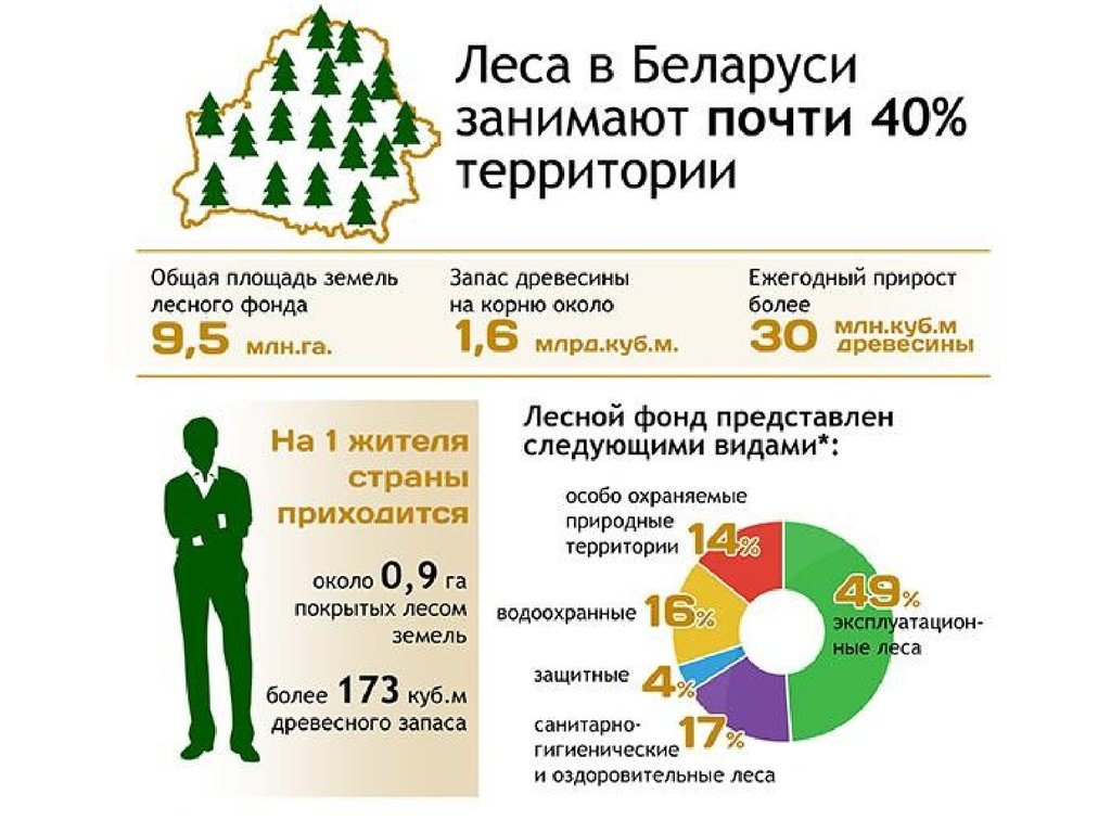 Ресурсы беларуси. Природные ресурсы РБ. Природные богатства Беларуси. Природные условия РБ. Беларусь природные условия.