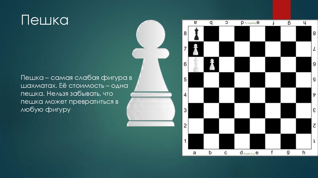 Названия различных фигур в шахматах