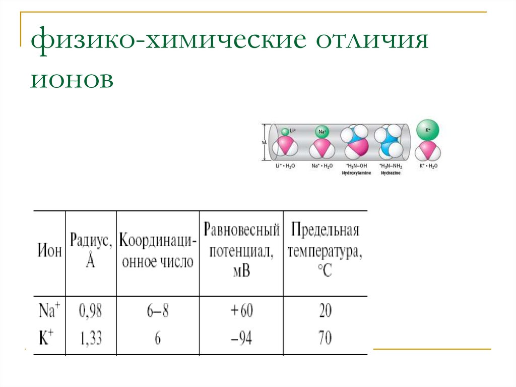Чем отличается химический. Укажите сходства и отличия ионов. Различие ионов. Физико-химическое основы биоэлектрогенеза.. Таблица различия ионов.