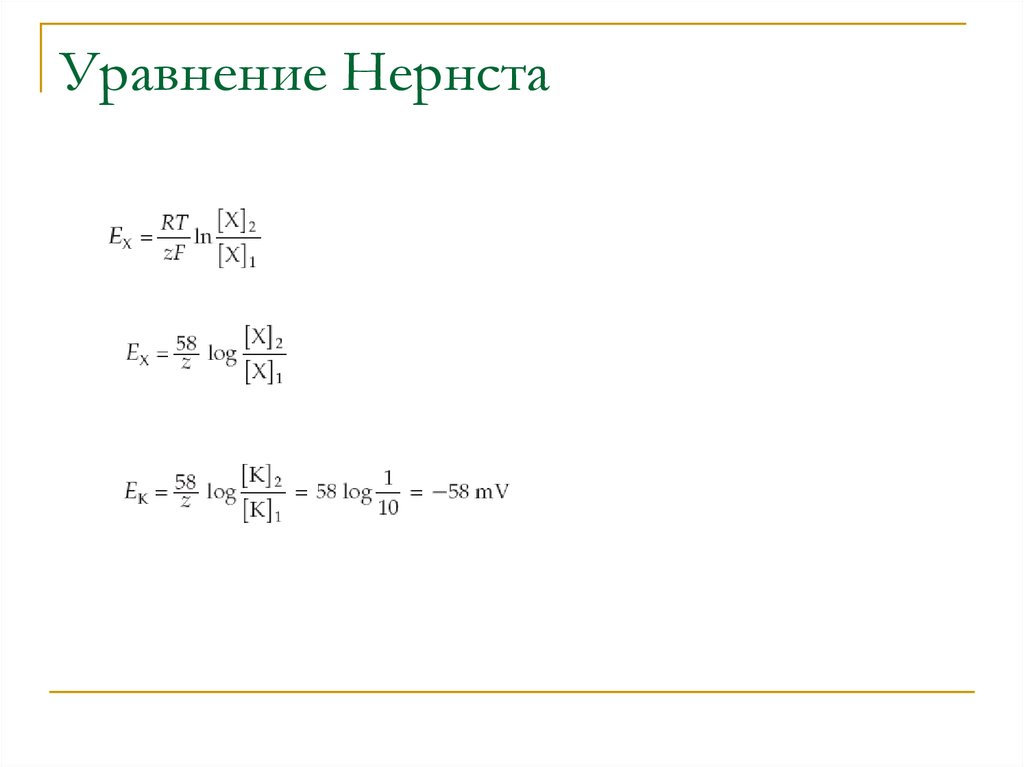 48 50 48 уравнение