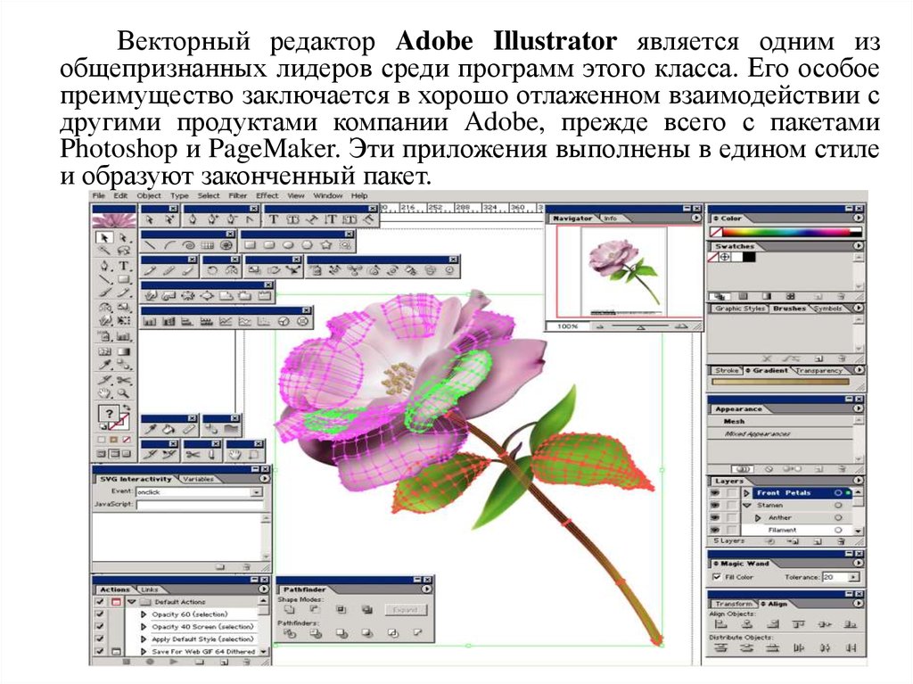 Редактор который используется для создания и редактирования векторных изображений