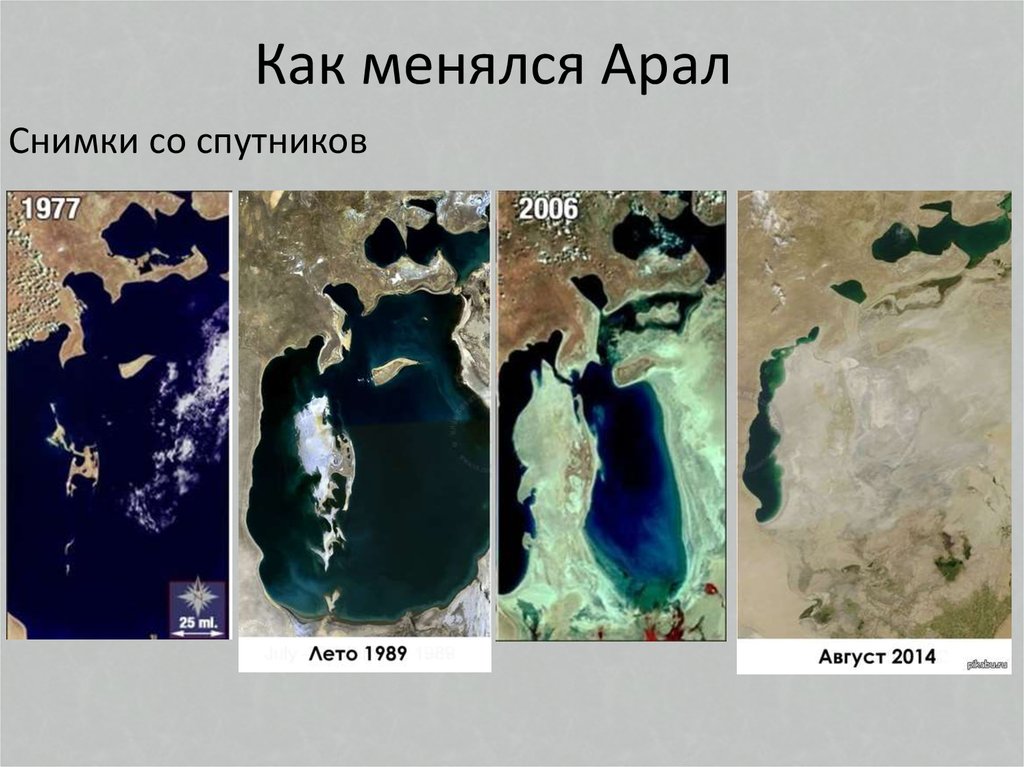 Где находится аральское. Реки впадающие в Аральское море на карте. Аральское море 1970 год карта. Аральское море географическая карта. Река Аральское море на карте.