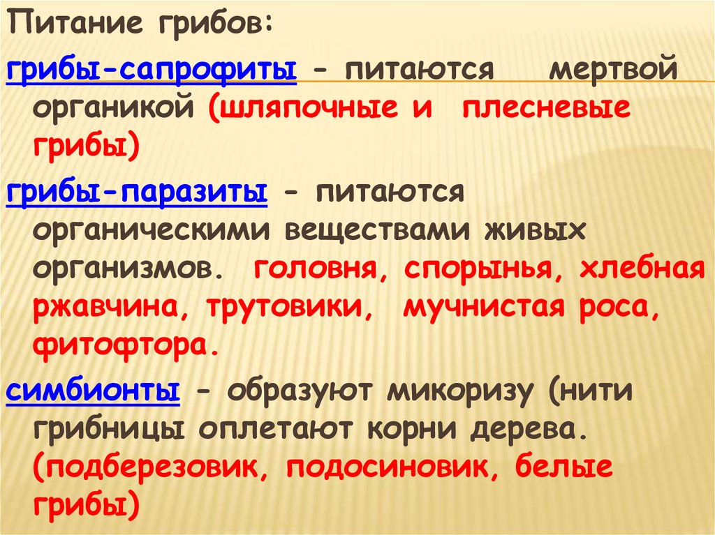 Разнообразие грибов. Значение грибов в природе и жизни человека -  презентация онлайн