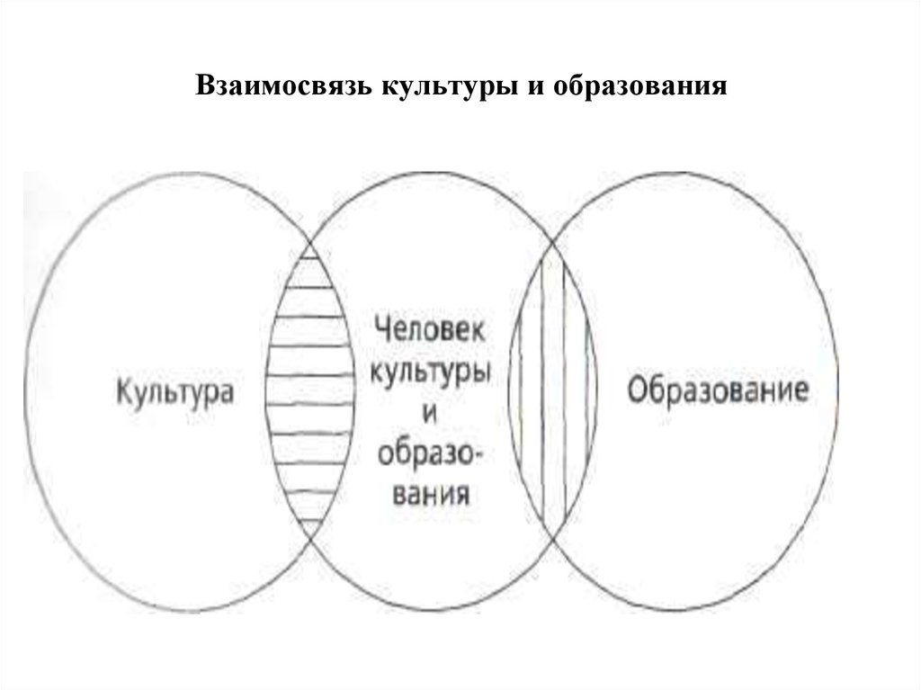 Образованная культура. Взаимосвязь образования и культуры. Взаимосвязь между культурой и образованием. Взаимосвязь. Связь культуры и образования.