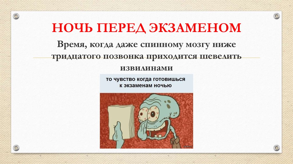 Перед экзаменом. Ночь перед экзаменом. Подбодрить перед экзаменом. Состояние перед экзаменом. Чувства перед экзаменом.