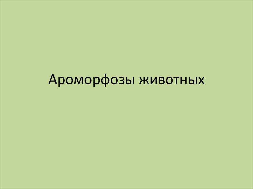 5 ароморфозов у животных. Ароморфозы животных. Важнейшие ароморфозы протерозойской эры. Все ароморфозы животных. Эры и ароморфозы.