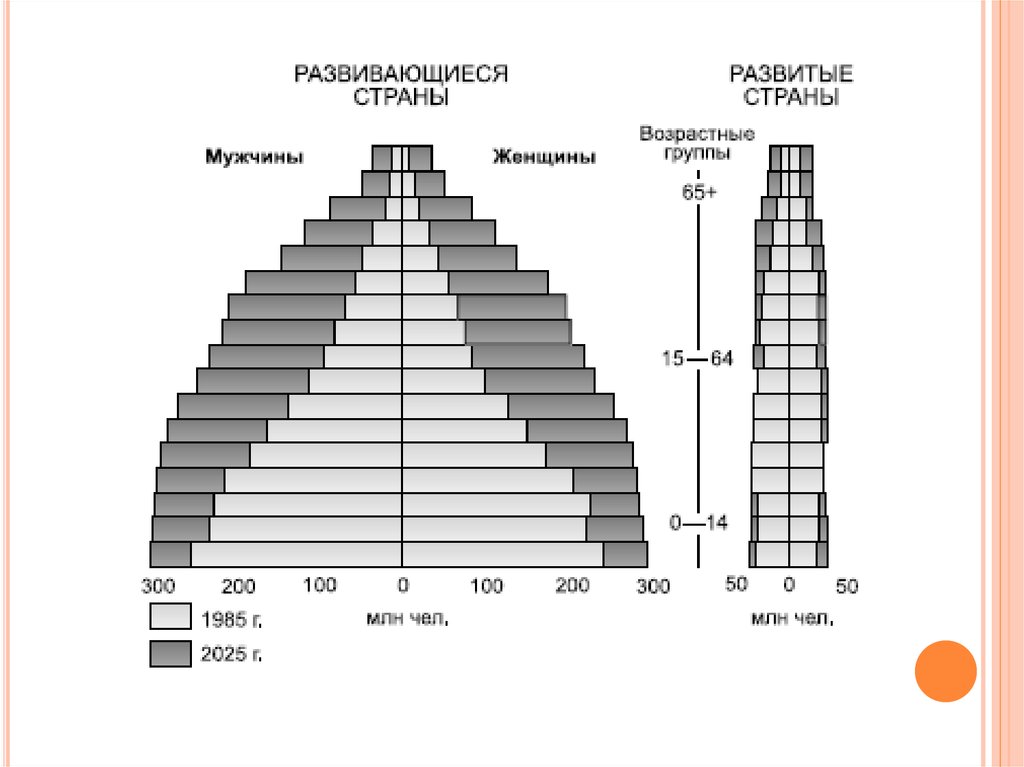 Структура населения развитых стран. Возрастно половая пирамида развивающейся страны. Демографическая пирамида развитых стран. Половозрастная пирамида Афганистана. Возрастно половой состав пирамида мира.