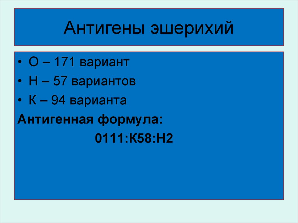Вариант н. Антигены эшерихий. Антигенная структура эшерихий. Антигенная структура эшерихий коли. Антигенные формулы для эшерихий.