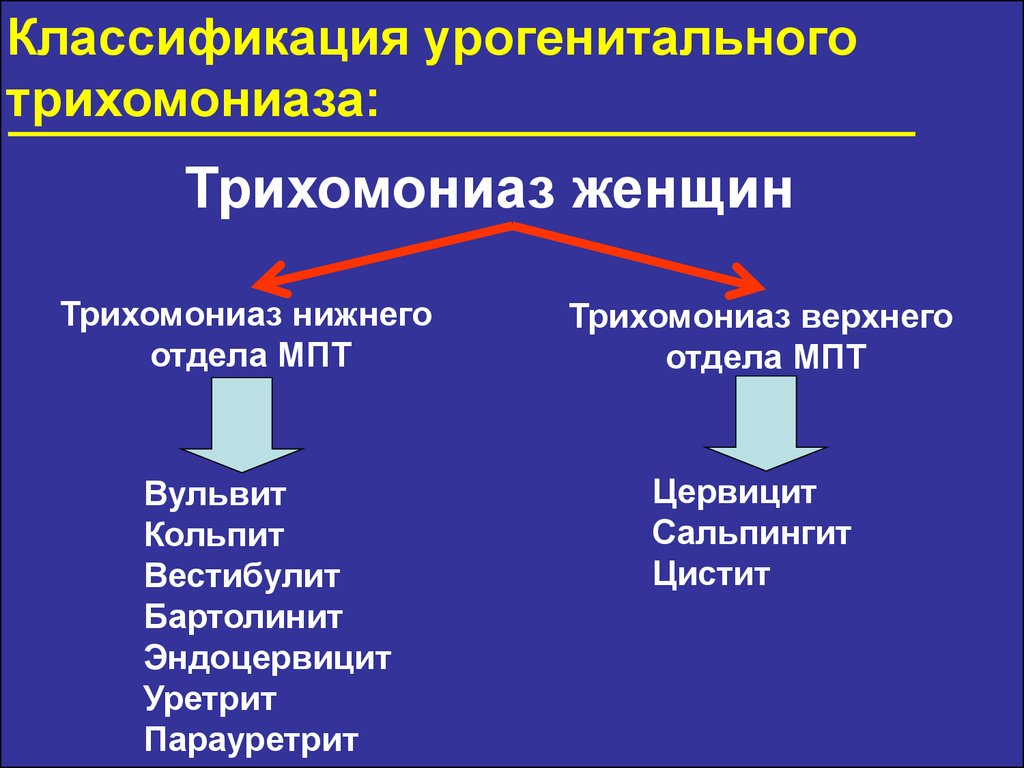 Трихомониаз презентация дерматовенерология