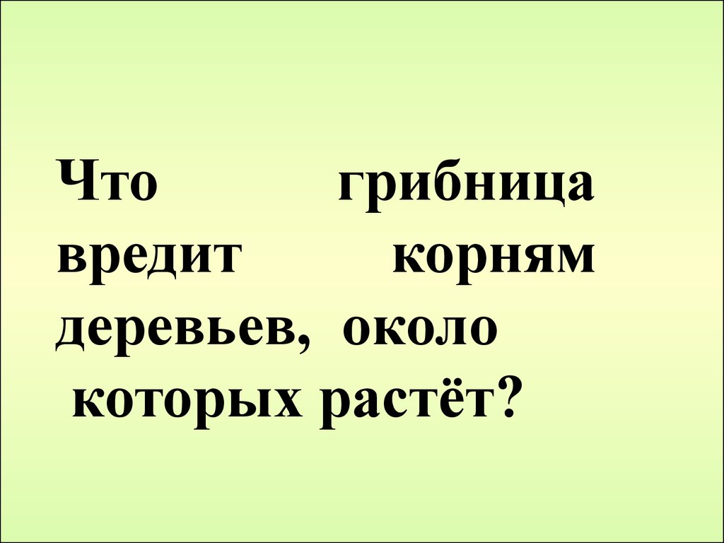 Вреда корень. Грибница вредит корням деревьев около которых растет. Слова с корнем вред. Слова ч корнями вред.