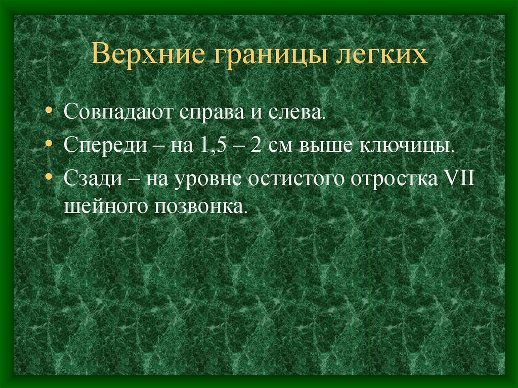 Верхняя граница