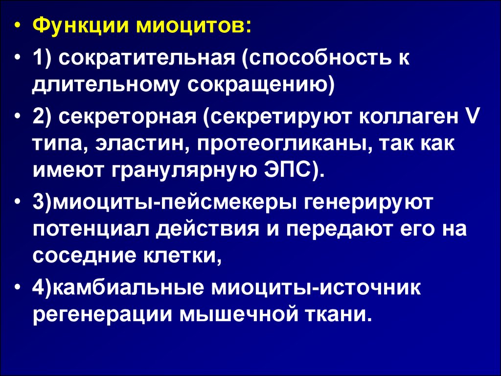 Способностью к быстрым сокращениям. Сокращение миоцитов. Сократительный аппарат миоцита и его компоненты. Эластин секретируют. Как происходит сокращение миоцитов?.