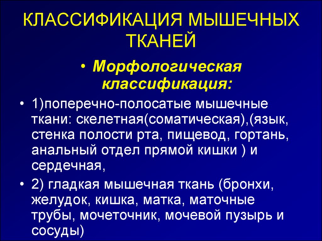 Функциональная классификация тканей. Классификация мышечной ткани. Классификация мышечной таки. Гистогенетическая классификация мышечных тканей. Классификация мышечной ткани гистология.