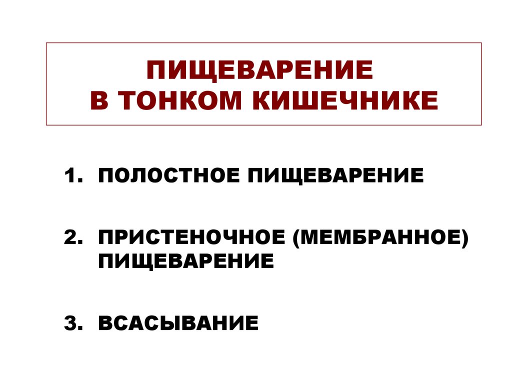 Пищеварение в тонком кишечнике. Пищеварение в тощем кишечнике. Виды пищеварения в тонком кишечнике. Пищеварение в кишечнике физиология.