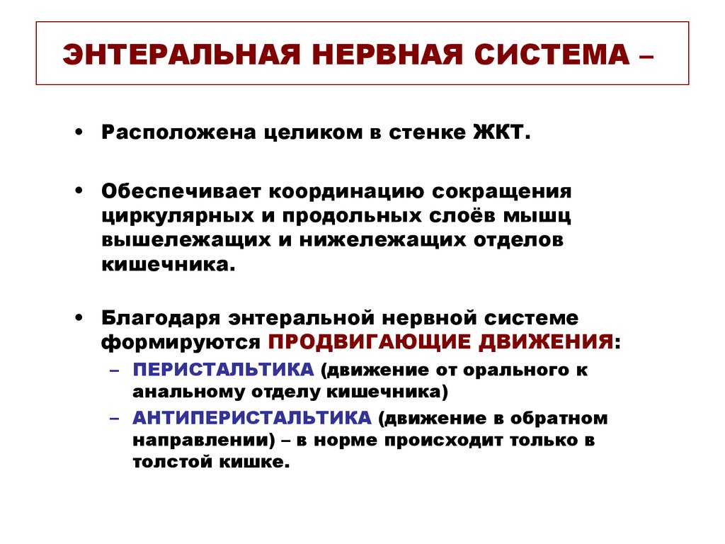 Энтеральная нервная система. Энтеральной нервной системы. Энтерическая нервная система. Кишечная нервная система. Энтеральная нервная система кишечника.