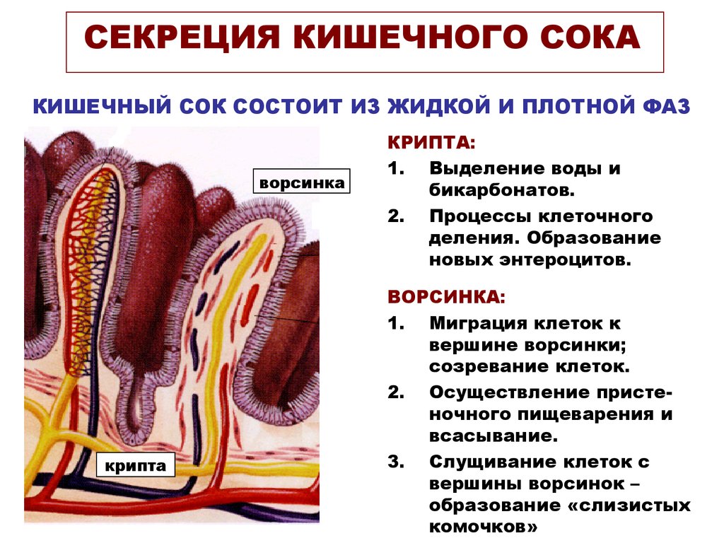 Что может сломаться в тонком клиенте