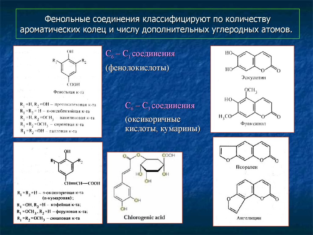 Фенольные соединения презентация