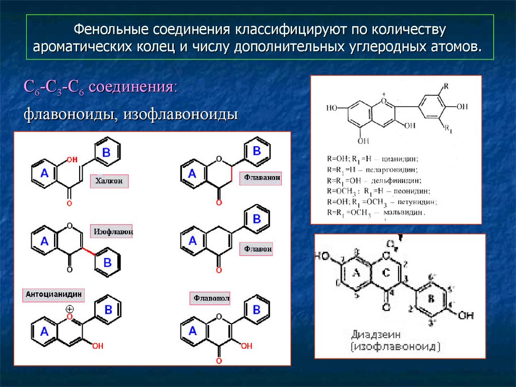 Фенольные соединения презентация