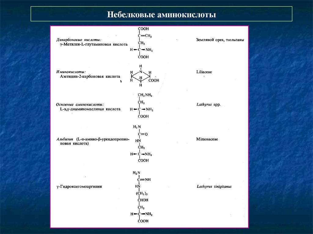 Аминокислотой является. Небелковые классификация аминокислот биохимия. Небелковые аминокислоты таблица. Небелковые аминокислоты. Представители небелковых аминокислот.