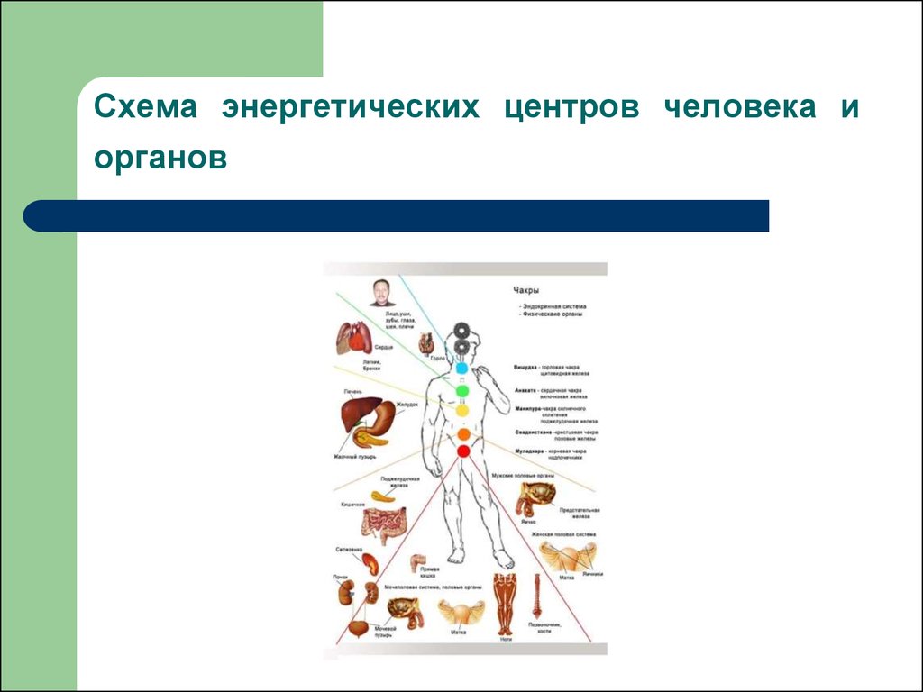 Центр человека. Энергия здоровья описание. Движение источник здоровья энергии здоровья человека реферат.