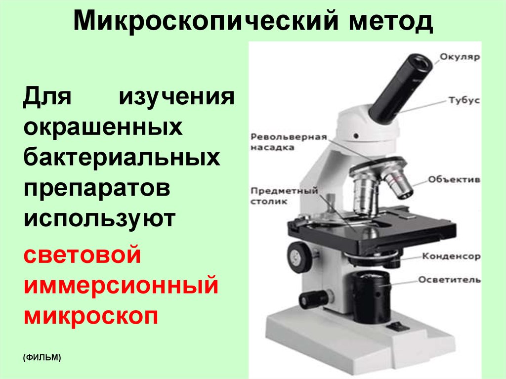 Микроскопией называют метод микроскопии. Микроскоп (с иммерсионным объективом) XSZ-107bn. Иммерсионный микроскоп строение. Световой микроскоп строение макровинт. Иммерсионная микроскопия микроскопии..