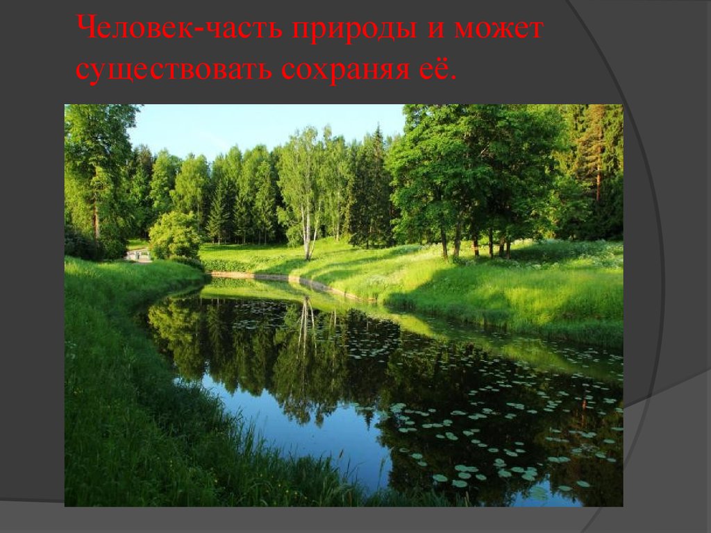 Презентация природа онлайн