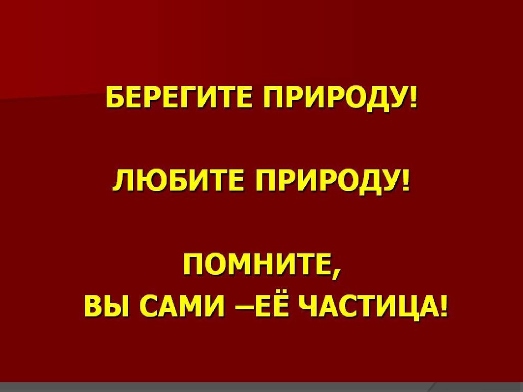 Беречь согласно. Берегите животных красной книги. Берегите животных презентация. Надпись берегите животных. Берегите природу красная книга.